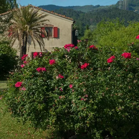Ithaa Διαμέρισμα Sarzana